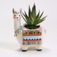 Llama Container Llama Container